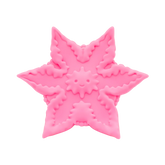 Starsi Vibrator